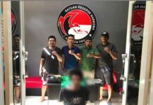 Jemput Paket Ganja 530 Gram di Kantor Pos, Pemuda 28 Tahun di Tidore Ketangkap Polisi