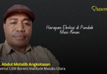 Harapan Ekologi di Pundak Masi Aman