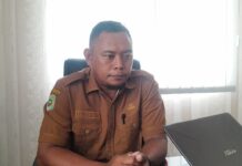 5 Perusahan Nikel Tidak Taat Aturan, Pemda Haltim Angkat Bicara