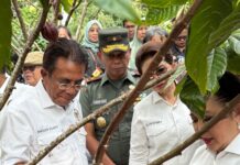 Soroti Minimnya Produktivitas Kakao, Wakil Ketua Komisi IV DPR RI: Perlu Langkah Konkret Pemerintah