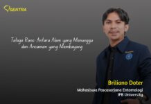 Talaga Rano: Antara Alam yang Menunggu dan Ancaman yang Membayang