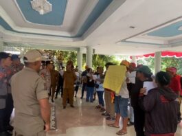 Tolak Proyek Geothermal, FMPT Geruduk Kantor Bupati Halbar