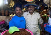 Fasilitator TEKAD Halbar Monitoring Demplot KPM di Jailolo Selatan