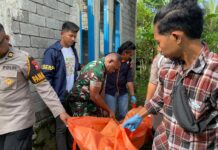 Pembunuhan Gegerkan Desa Bataka Halbar, Polisi Buru Terduga Pelaku