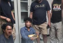 Polisi Amankan 545 Gram Ganja di Halteng, Satu Pria Ditangkap