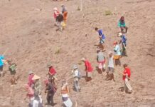Warga Gamnyial Gotong Royong Tanam Padi Jongo’di di Lahan BUMDes
