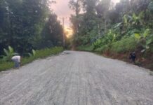 Pelebaran Jalan Trans Waleh–Simpang Yeke Diprotes, Warga Sebut Tak Ada Sosialisasi