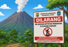 Pasca Insiden, Pemda Halut Resmi Tutup Permanen Jalur Pendakian Gunung Dukono