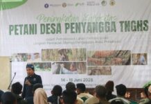 FOLU Net Sink DKSHE IPB Hadirkan Pakar Cabai untuk Perkuat Kapasitas Petani TNGHS