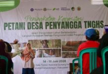 FOLU Net Sink DKSHE IPB Perkuat Kapasitas Petani TNGHS Melalui Agroforestri