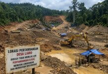 Hutan Liaro Terancam Tambang Ilegal, Warga Desak Polda Malut dan Pemda Segera Bertindak