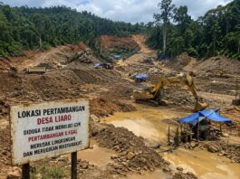 Hutan Liaro Terancam Tambang Ilegal, Warga Desak Polda Malut dan Pemda Segera Bertindak