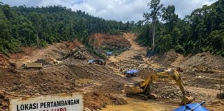 Hutan Liaro Terancam Tambang Ilegal, Warga Desak Polda Malut dan Pemda Segera Bertindak