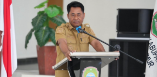 TPP Tahap II 2026 Mulai Dicairkan, Pemkab Haltim Sebut Hadiah HUT ke-81 RI