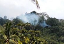 Kebakaran Hutan di Lereng Gunung Desa Sigela Yef, Titik Api Sulit Dijangkau