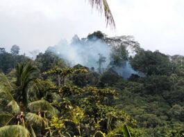 Kebakaran Hutan di Lereng Gunung Desa Sigela Yef, Titik Api Sulit Dijangkau
