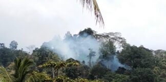 Kebakaran Hutan di Lereng Gunung Desa Sigela Yef, Titik Api Sulit Dijangkau