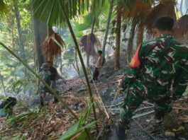 Camat Oba Bersama TNI-Polri dan Warga Kembali Berupaya Padamkan Api di Gunung Sigela Yef
