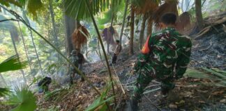 Camat Oba Bersama TNI-Polri dan Warga Kembali Berupaya Padamkan Api di Gunung Sigela Yef